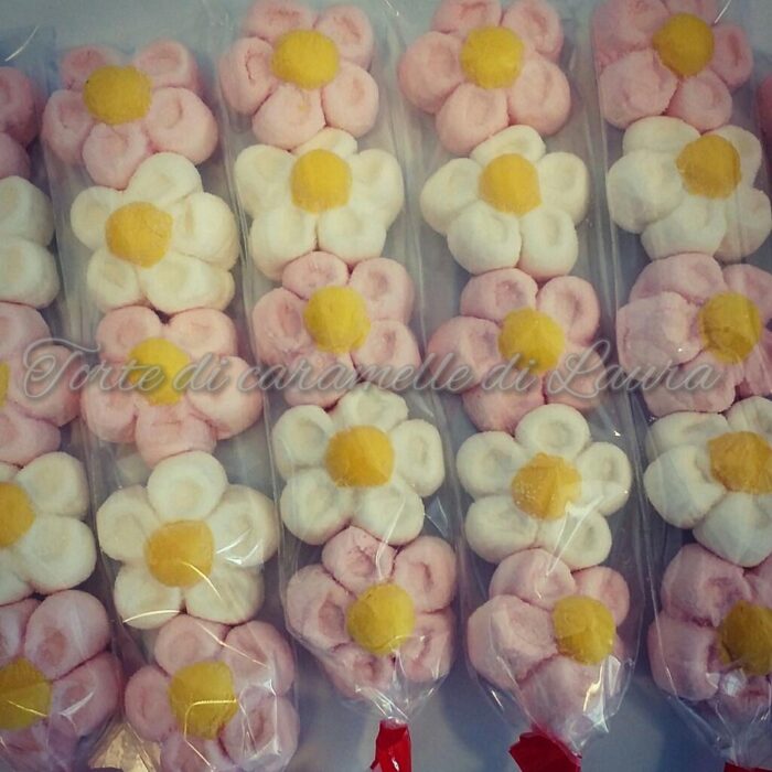 Cadeaux Margherite Bianco/Rosa-0