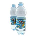 Etichette Bottiglie 0,5L Pokemon