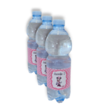 Etichette Bottiglie 0,5 L Minnie Rosa